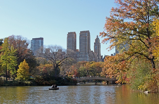 Central Park, nueva York