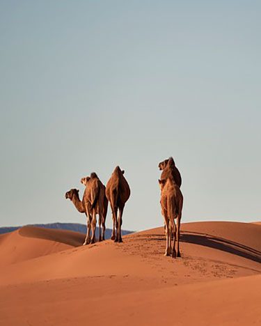 Viajar sola a Marruecos