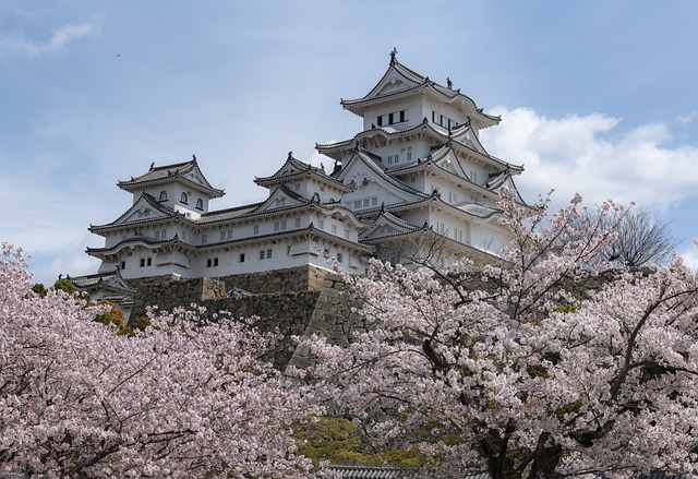 Castillo de Japón